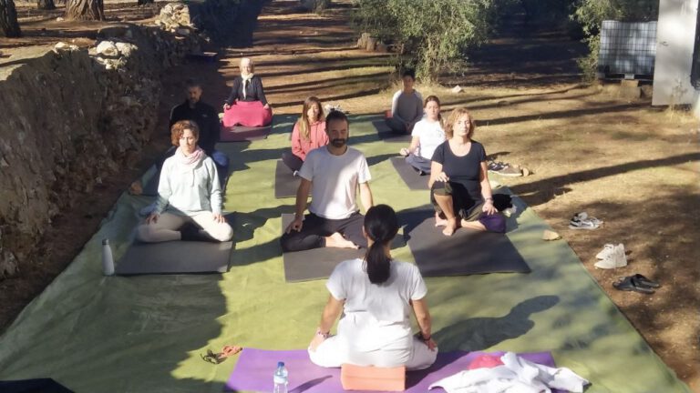 Lee más sobre el artículo Grupos de Meditación en Ontinyent